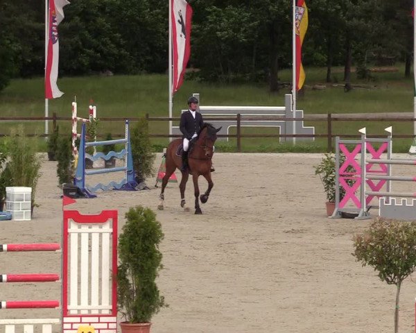 Reitturnier Westergellersen 2020