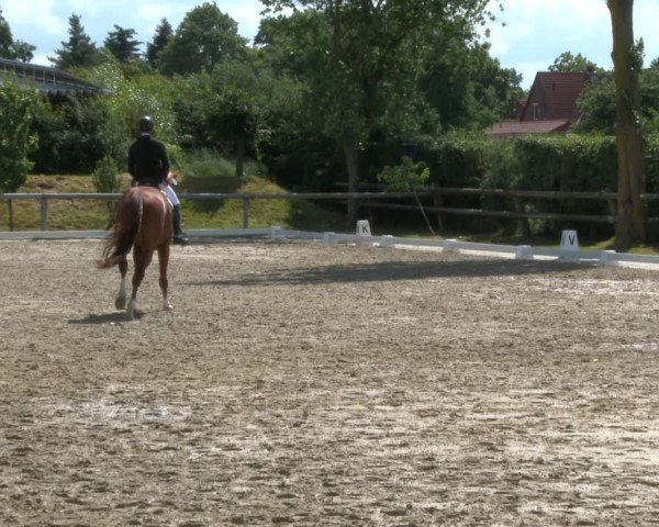 Reitturnier Niedernstöcken 2020
