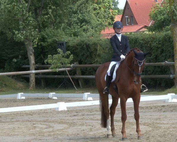 Reitturnier Niedernstöcken 2020