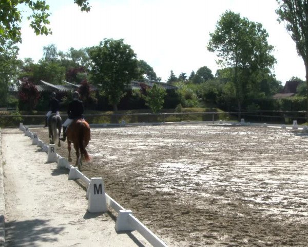 Reitturnier Niedernstöcken 2020