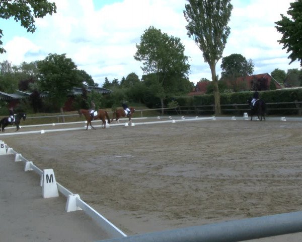 Reitturnier Niedernstöcken 2020