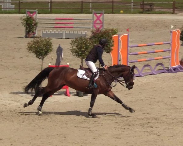 Reitturnier Westergellersen 2020