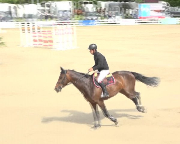 Reitturnier Aesch (Neftenbach) 2020