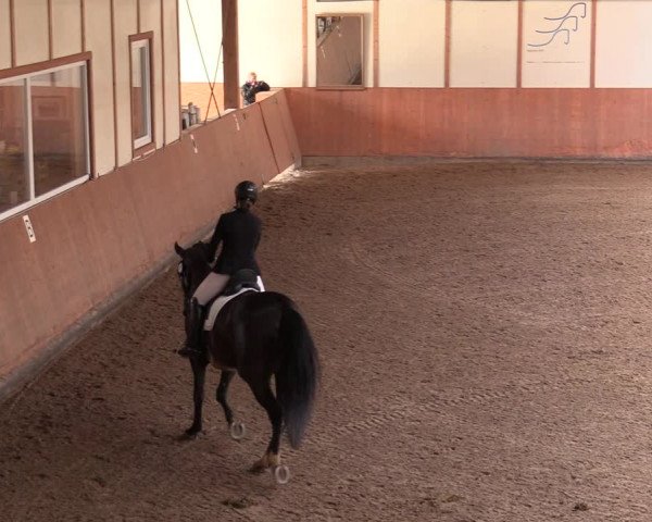 Reitturnier Halver 2020