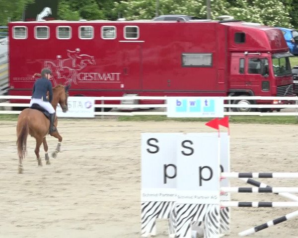 Reitturnier Aesch (Neftenbach) 2020