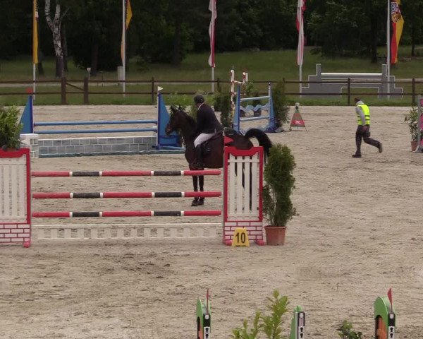 Reitturnier Westergellersen 2020