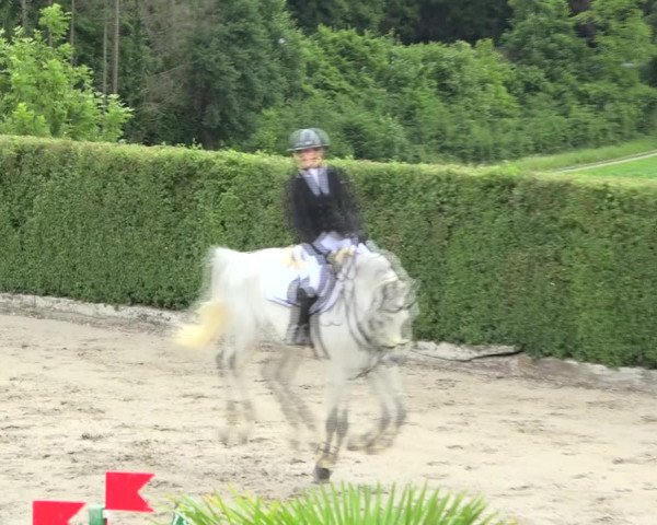 Reitturnier Aesch (Neftenbach) 2020