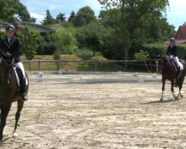 Reitturnier Niedernstöcken 2020