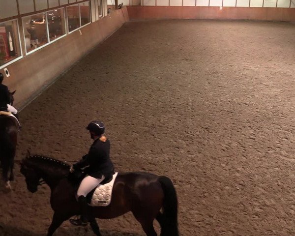 Reitturnier Halver 2020