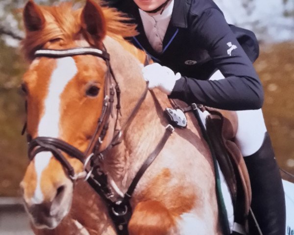 broodmare Harmonie 287 (German Riding Pony, 1998, from Unbekannt Pony)