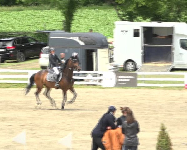 Reitturnier Aesch (Neftenbach) 2020