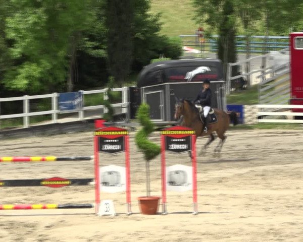 Reitturnier Aesch (Neftenbach) 2020