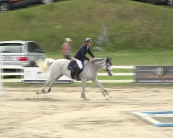 Reitturnier Aesch (Neftenbach) 2020