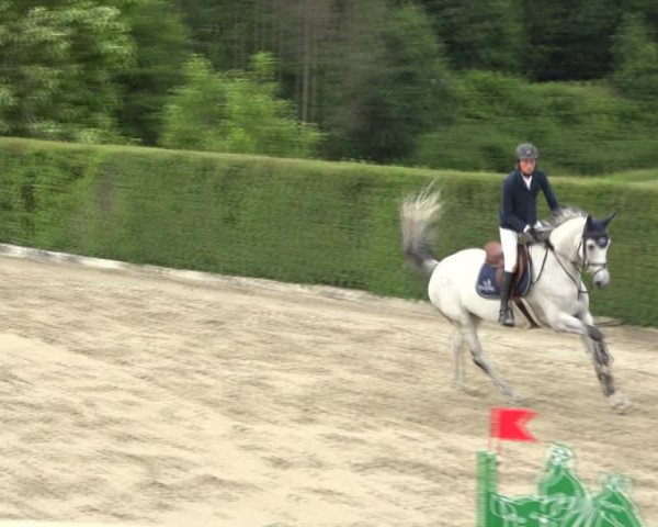 Reitturnier Aesch (Neftenbach) 2020