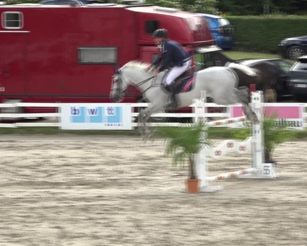 Reitturnier Aesch (Neftenbach) 2020