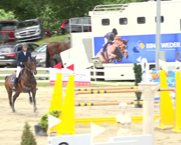 Reitturnier Aesch (Neftenbach) 2020