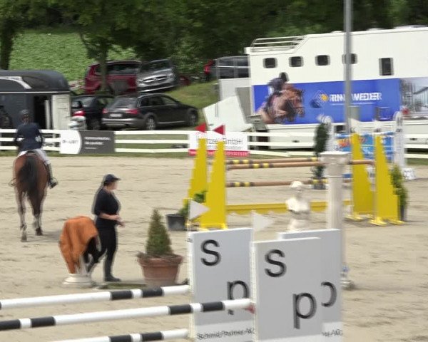 Reitturnier Aesch (Neftenbach) 2020