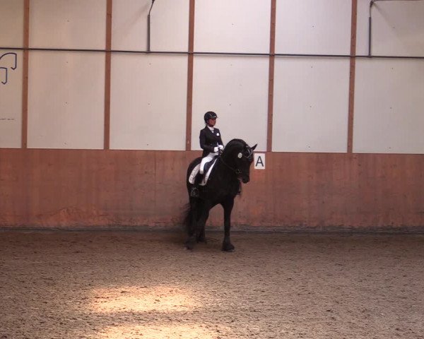 Reitturnier Halver 2020
