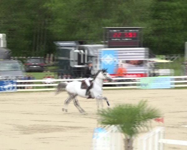 Reitturnier Aesch (Neftenbach) 2020