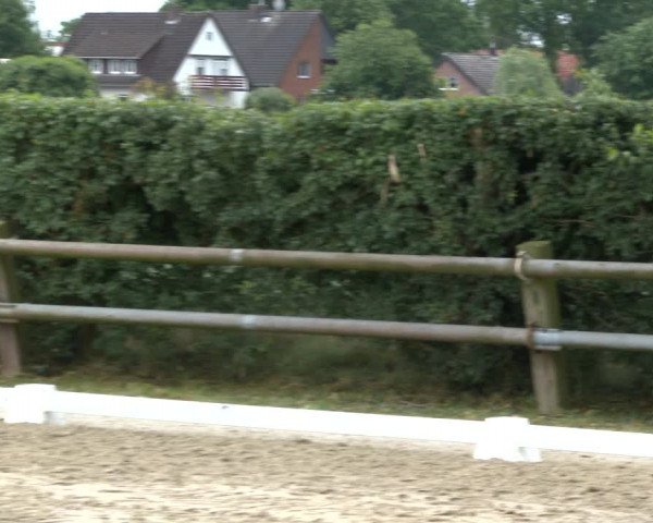 Reitturnier Niedernstöcken 2020