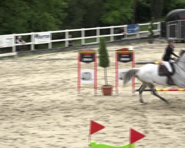 Reitturnier Aesch (Neftenbach) 2020