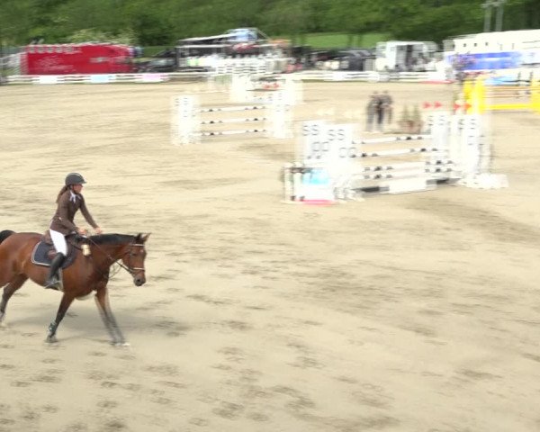 Reitturnier Aesch (Neftenbach) 2020