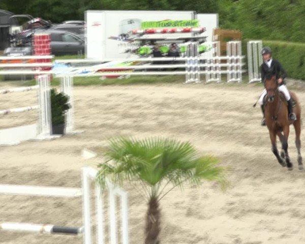 Reitturnier Aesch (Neftenbach) 2020