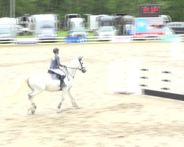 Reitturnier Aesch (Neftenbach) 2020
