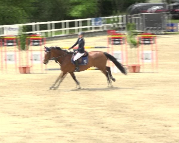 Reitturnier Aesch (Neftenbach) 2020