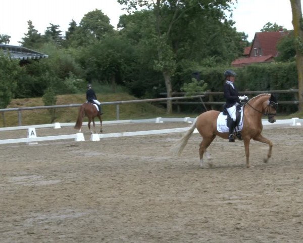 Reitturnier Niedernstöcken 2020