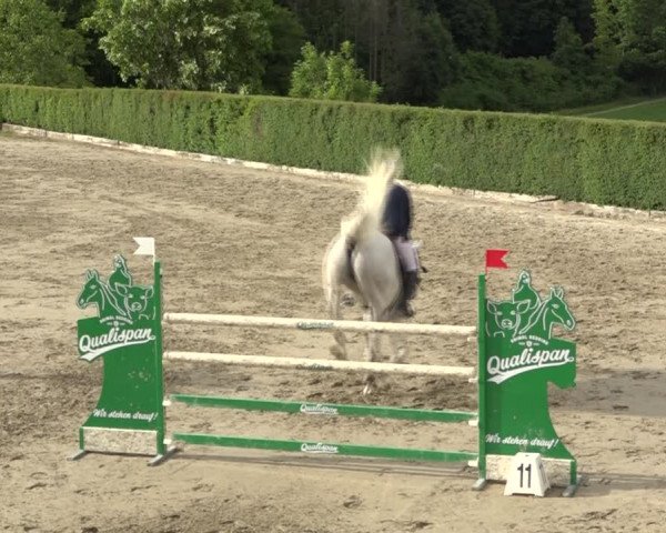 Reitturnier Aesch (Neftenbach) 2020