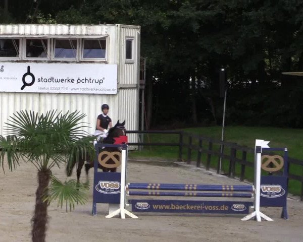 Dressur- und Springturnier Ochtrup 2021