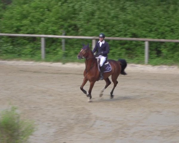 Reitturnier Erkrath - Uhlenhof 2020