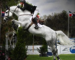 jumper Coolio 17 (Westphalian, 2003, from Cornet Obolensky)