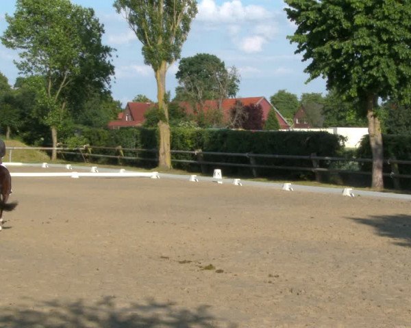 Reitturnier Niedernstöcken 2020