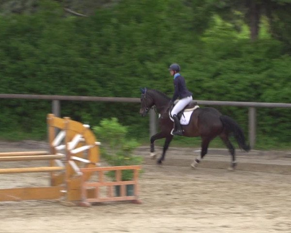 Reitturnier Erkrath - Uhlenhof 2020