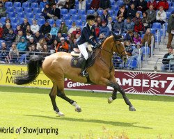 jumper Clinton (KWPN (Royal Dutch Sporthorse), 2007, from Cantos)