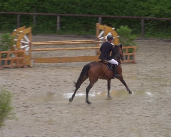 Reitturnier Erkrath - Uhlenhof 2020