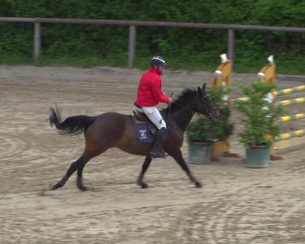 Reitturnier Erkrath - Uhlenhof 2020