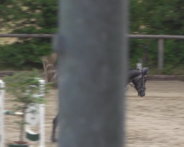 Reitturnier Erkrath - Uhlenhof 2020