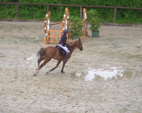 Reitturnier Erkrath - Uhlenhof 2020