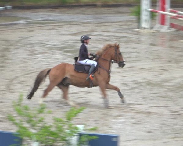 Reitturnier Erkrath - Uhlenhof 2020