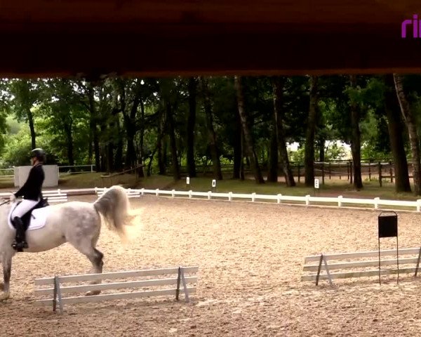 Reitturnier Heiden 2020
