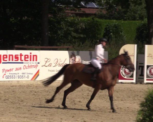 Dressur- und Springturnier Ochtrup 2021