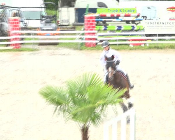 Reitturnier Aesch (Neftenbach) 2020