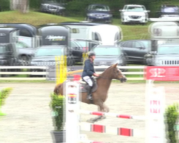 Reitturnier Aesch (Neftenbach) 2020