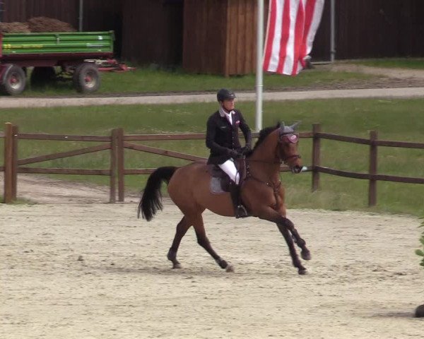 Reitturnier Westergellersen 2020