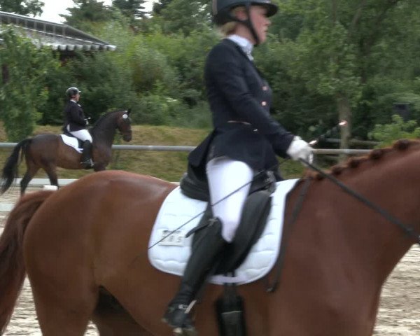 Reitturnier Niedernstöcken 2020