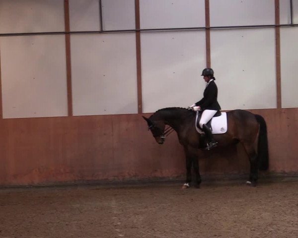 Reitturnier Halver 2020
