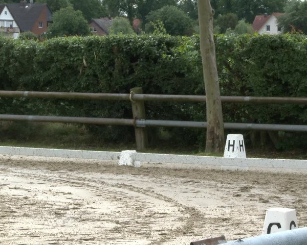 Reitturnier Niedernstöcken 2020
